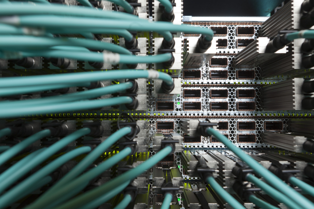 Debakel bei neuer Polizeisoftware – Seeländer Politiker warnten schon länger vor den&nbsp;Risiken